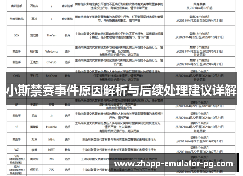 小斯禁赛事件原因解析与后续处理建议详解