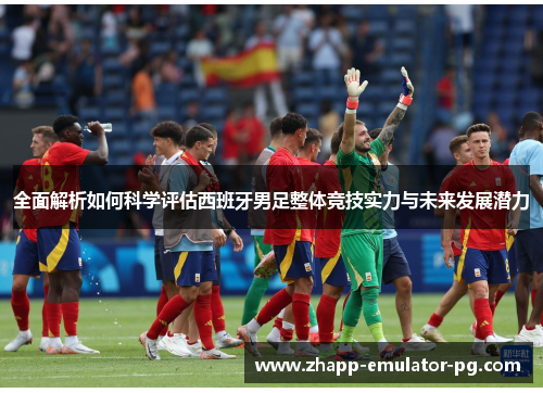 全面解析如何科学评估西班牙男足整体竞技实力与未来发展潜力