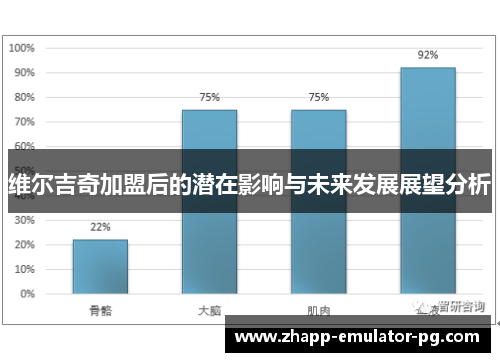 维尔吉奇加盟后的潜在影响与未来发展展望分析