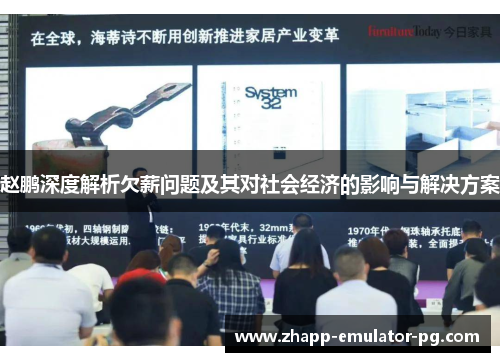 赵鹏深度解析欠薪问题及其对社会经济的影响与解决方案